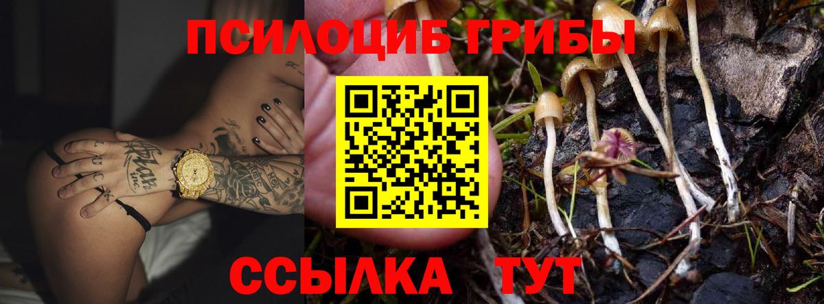 Галлюциногенные грибы мухоморы Заволжье